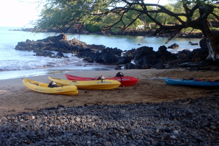 Maui: Whale Watch Kayaking and Snorkel Tour w Kihei