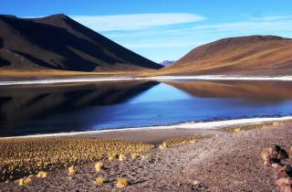 Altiplanische Lagunen, Atacama-Salzebene und Rote Steine