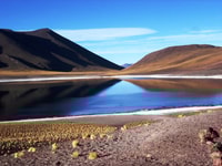 Lagooni altiplaniche, sale atacama piatto e pietre rosse - Housity