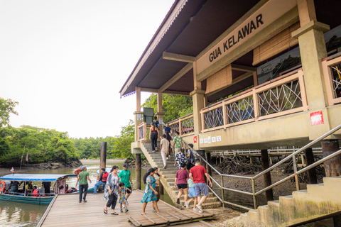 Langkawi:6 Hours Mangrove Night Safari with Pick Up & Dinner