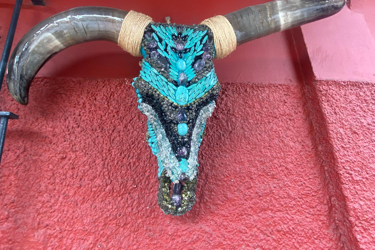 La Paz: Todos Santos Day Trip