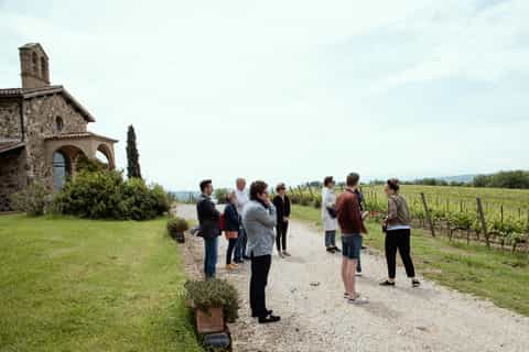 From Rome: Orvieto Wine Tasting Tour