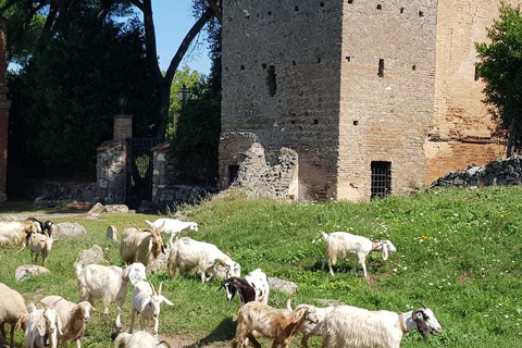 Roma: Tour in eBike della Via Appia Acquedotti, Catacombe e Cestino per il PranzoTour di 5 ore con visita alle catacombe e cestino per il pranzo