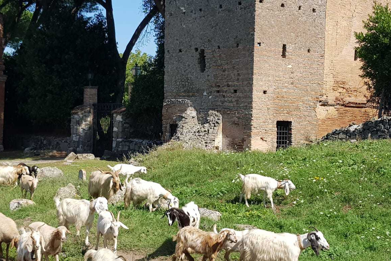 Rom: Appian Way eBike Tour Aquädukte, Katakomben &amp; Lunch BoxNur die Via Appia und die Aquädukte