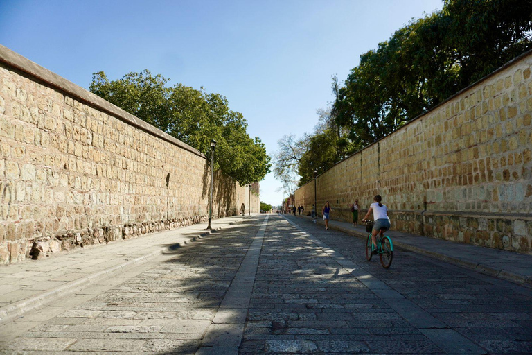 Tour histórico particular em Oaxaca - Melhor avaliação