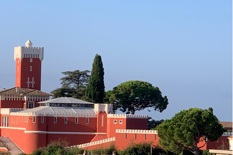 From Nice: Half-Day Wine Tour in the Bellet Wine Region