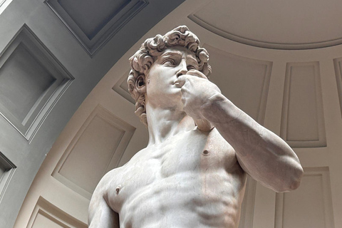 Florence: Michelangelo&#039;s David Entrance Ticket and Audio App