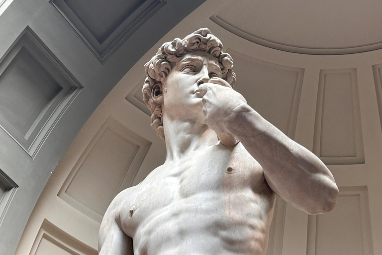 Florence: Michelangelo's David Priority Ticket en Audio App