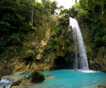 Cebu: Whale Shark, and Sumilon Sandbar and Inambakan Falls