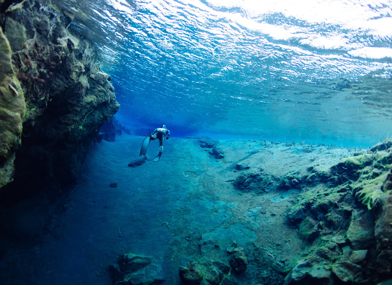 Thingvellir: Silfra Freedive Adevnture med en guide