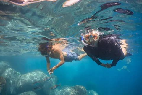 Funchal: Snorkeling Adventure in Eco-Park / Shore or by Boat