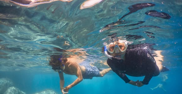Funchal: Eco-Park Snorkeling from Shore or by Boat