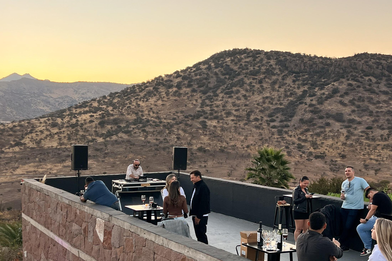 Santiago: Vinicola Monteluz Sunset Party Experience 360