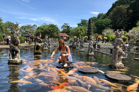 Bali: Private Ubud Highlights Tour with Customized Tour Temple, Monkey Forest, Waterfalls, & More (Without Tickets)