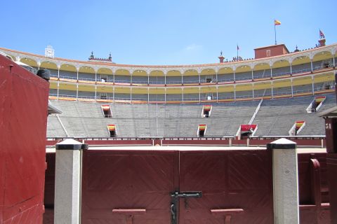 Madrid: tour guidato privato VIP dell'arena di Las Ventas