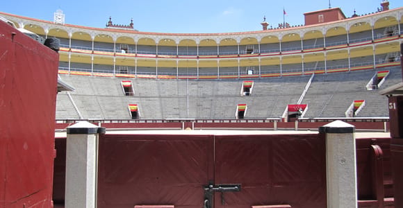 Madrid: Las Ventas Stierkampfarena VIP Private Guided Tour