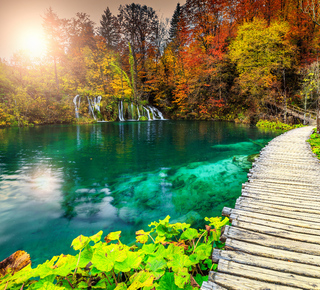 Plitvice Lakes National Park: Day Trips and Tours from Omiš