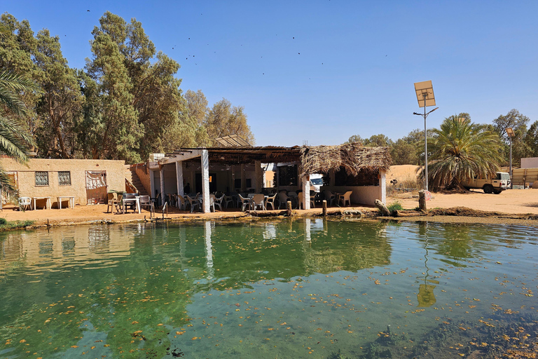 2-Day Sahara Escape: Ksar Ghilane Oasis & Desert Camp 2-Day Sahara Escape: from Mahdia