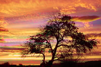 Cejar y Tebinquinche Lagoon Tour con Ojos del Salar Atacama - Housity