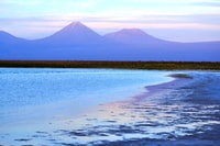 Cejar y Tebinquinche Lagoon Tour con Ojos del Salar Atacama - Housity