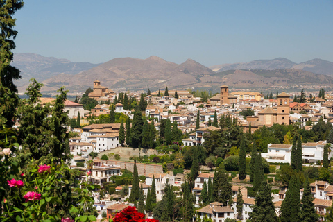 Alhambra, Nasrid Palaces and Albaicin Tour Tour in Spanish