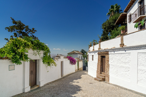 Alhambra, Nasrid Palaces and Albaicin Tour Tour in Spanish