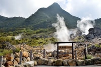 Tokyo, Hakone Fuji Day Tour w/ Crociera, Funivia, Volcano - Hizvo