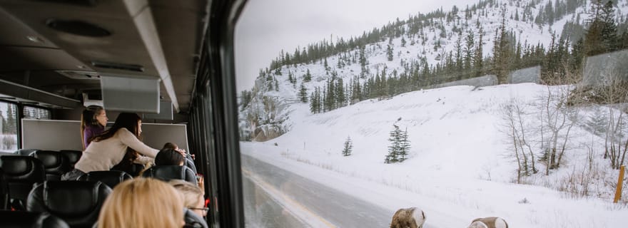 Jasper : Visite en bus de la faune hivernale dans le parc national Jasper