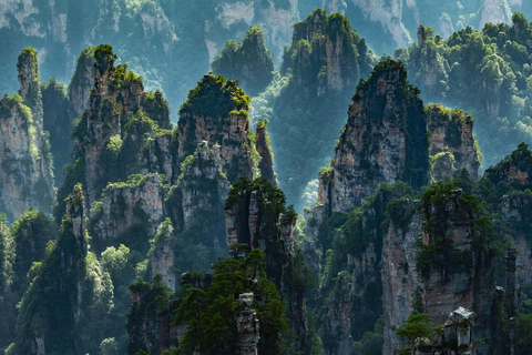 Zhangjiajie: Avatar Mountains Day Tour with Elevator & Cable