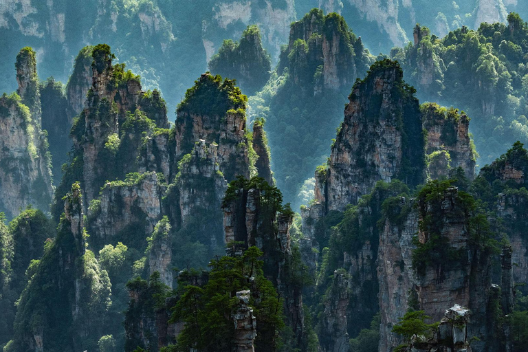 Zhangjiajie: Avatar Mountains Day Tour with Elevator & Cable
