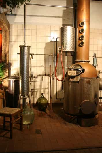 Eifel: Guided tour of historic watermill in the Vulkaneifel region