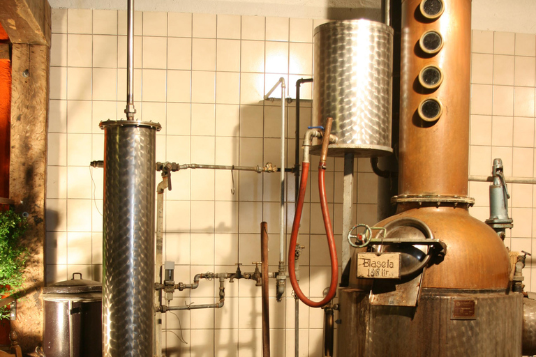 Eifel: Guided tour of historic watermill in the Vulkaneifel region