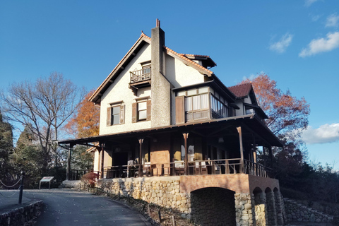 Aichi: Meiji Village & Japan’s Modernization Journey 5h Immersive option