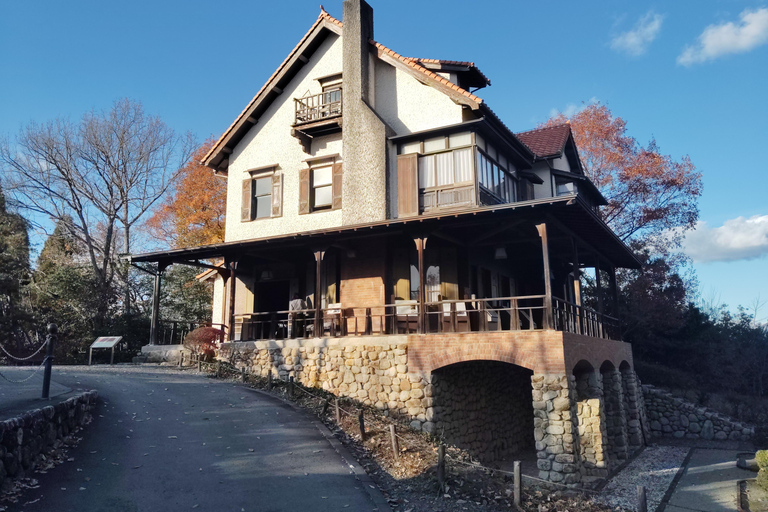 Aichi: Meiji Village & Japan’s Modernization Journey 5h Immersive option