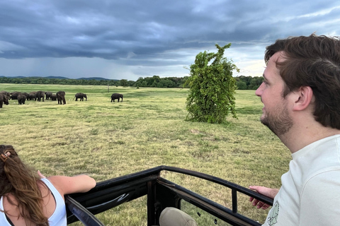 Parc national de Minneriya : Safari en Jeep avec billets