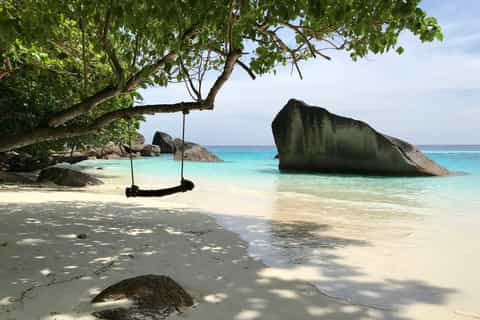 From Phuket/Khaolak: Similan Islands Early Bird Day Trip