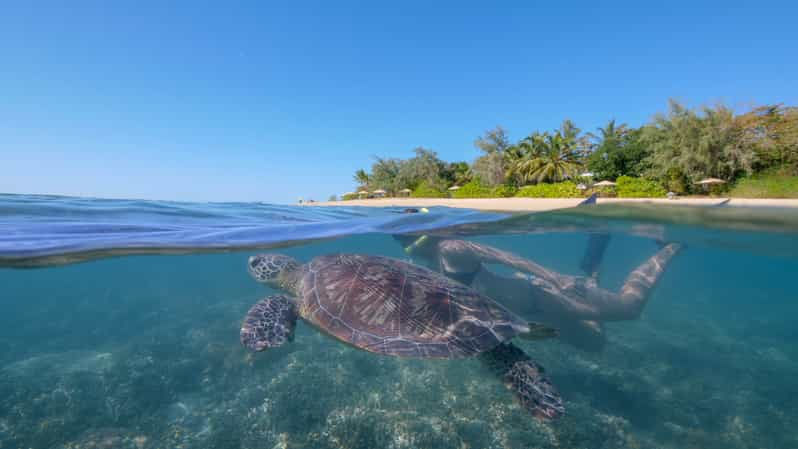 Port Douglas: Low Isles Glass Bottom Boat & Snorkeling Tour | GetYourGuide