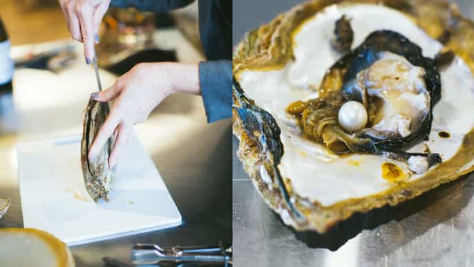willie creek live pearl harvest at elizabeth quay