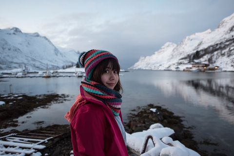 Depuis Tromsø : visite guidée des paysages arctiques