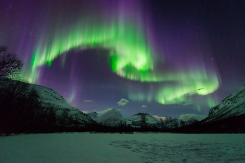 Van Tromsø: Tour met kleine groepstochten door het noorden