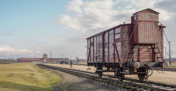 From Krakow: Auschwitz-Birkenau Full-Day Guided Tour