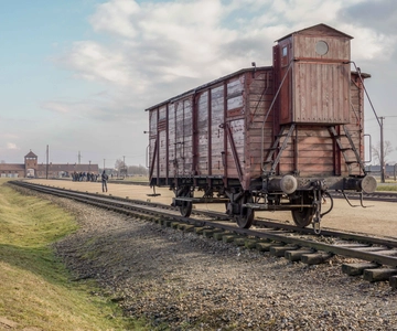 From Krakow: Auschwitz-Birkenau Full-Day Guided Tour