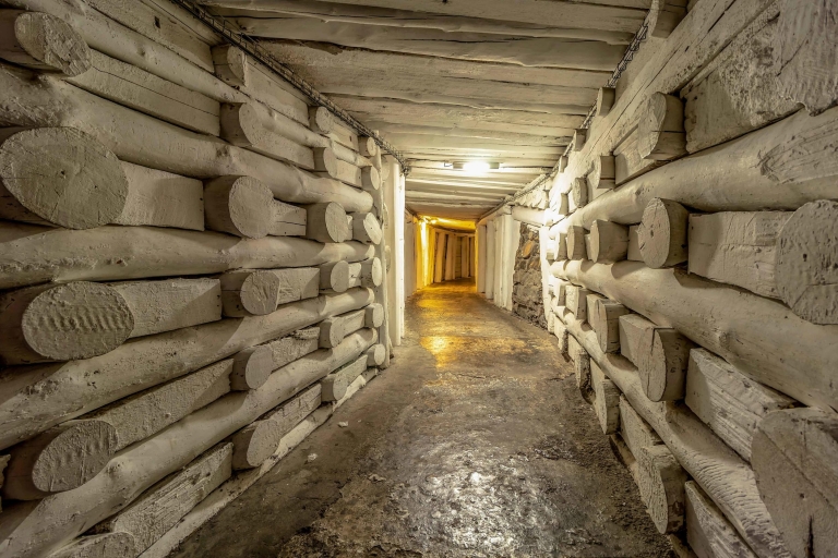 Tour guiado mina de sal de Wieliczka y recogida en CracoviaTour en francés