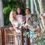 Zoo di Melbourne: Biglietto d'ingresso di 1 giorno