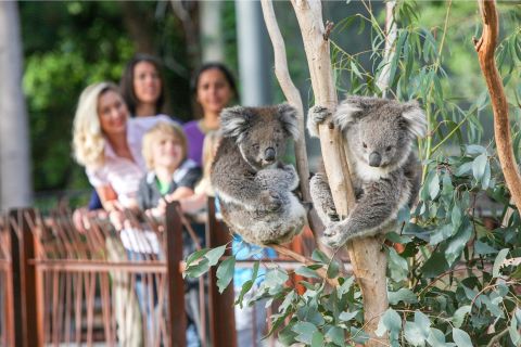 Melbourne: 1-Day Entry Ticket to Melbourne Zoo