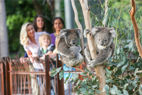 Zoo di Melbourne: Biglietto d&#039;ingresso di 1 giornoMelbourne: biglietto di 1 giorno per lo zoo di Melbourne