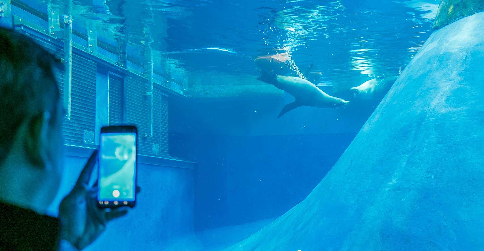 Melbourne Zoo: 1-Day Entry Ticket photo 5