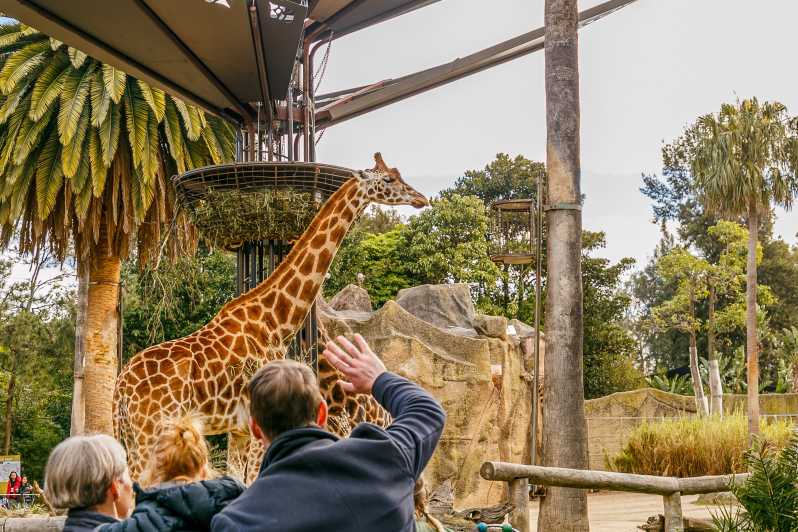 how long to visit melbourne zoo