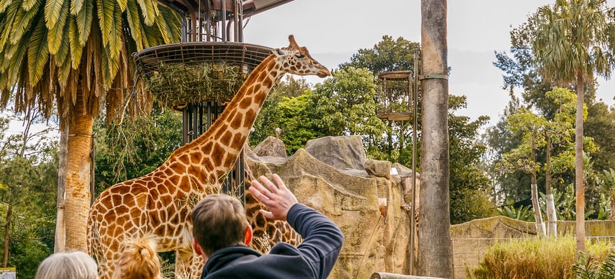 Zoos & aquariums