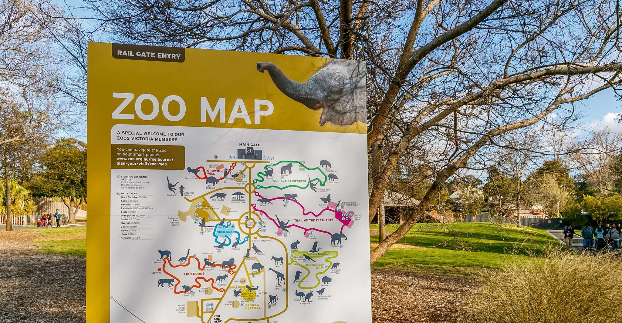 Melbourne Zoo: 1-Day Entry Ticket photo 18